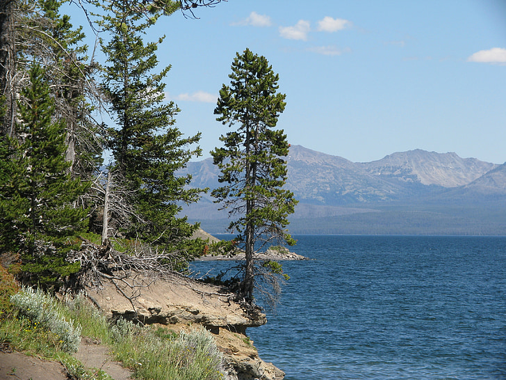 Yellowstone Milli Parkı, dağ, Wyoming, su, Göl, manzara, vahşi hayat