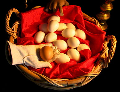 eggs, basket, chicken, bird, wicker, white, brown