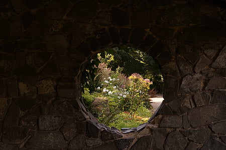 zid, gledajući, cvijeće, kamena, prozor, arhitektura