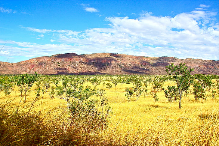 Outback, Austrália, rural, Aussie, meio ambiente, Bush, cenário