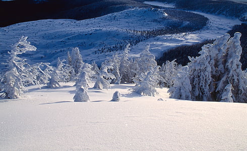 snow, winter, landscape, outdoors, nature, frozen, scenic