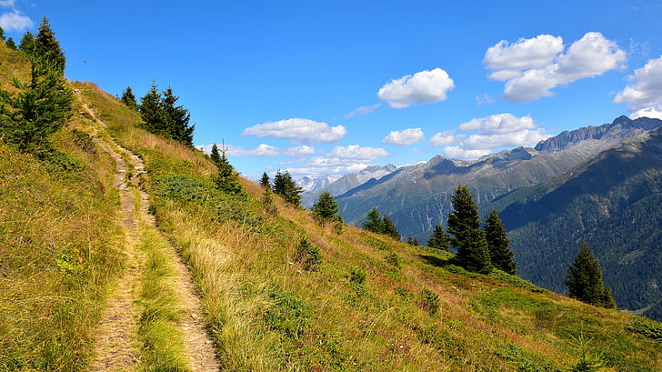 trail, mountains, landscape, away, view, trees, alpine