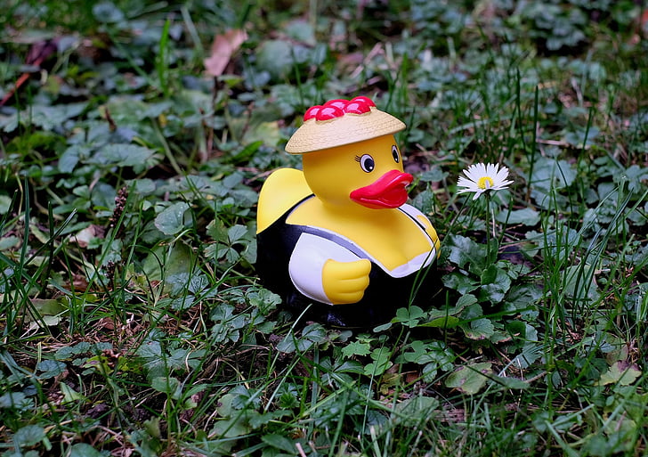 duck, rubber duck, costume, black forest, funny