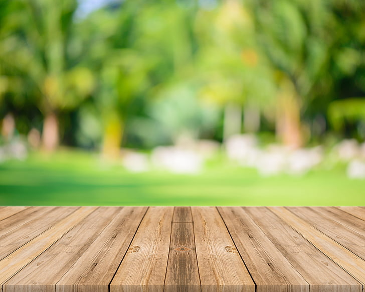 sunshine, woods, plank, wood - material, tree, outdoors, day