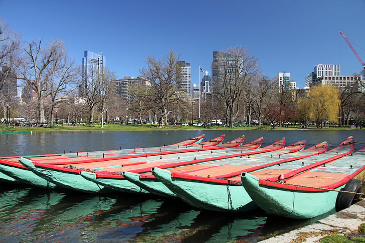 public garden, boston, park, common, swan boats, landmark