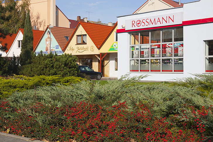 shrubs, buildings, city