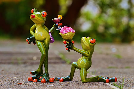 你说什么, 求婚, 对不起, 青蛙, 甜, 可爱, 有趣