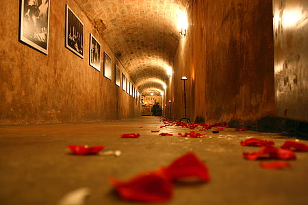 підвал, тунель, Троянда, шлюб, роса, офіційний одяг, камені
