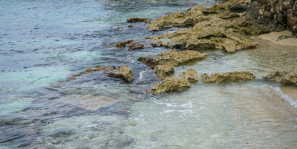 koralrev, Mexico, vand, Caraibien, sten, snorkling, baggrund