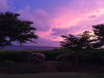 evening sky, caribbean, mood, nature, tree, sunset, outdoors