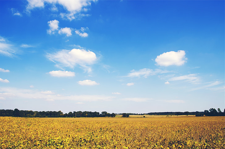 fields, country, rural, blue, sky, clouds, trees