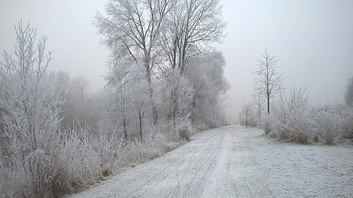 mùa đông, cảnh quan, băng, tuyết rơi, eiskristalle, Frost, wintry