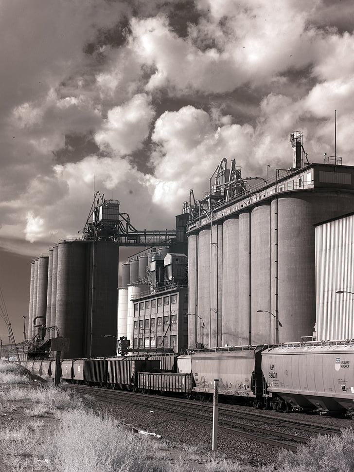 elevador de grano, tren, rural, blanco y negro, agricultura, agricultura, almacenamiento de información