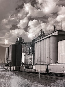 grain elevator, train, rural, black and white, farming, agriculture, storage