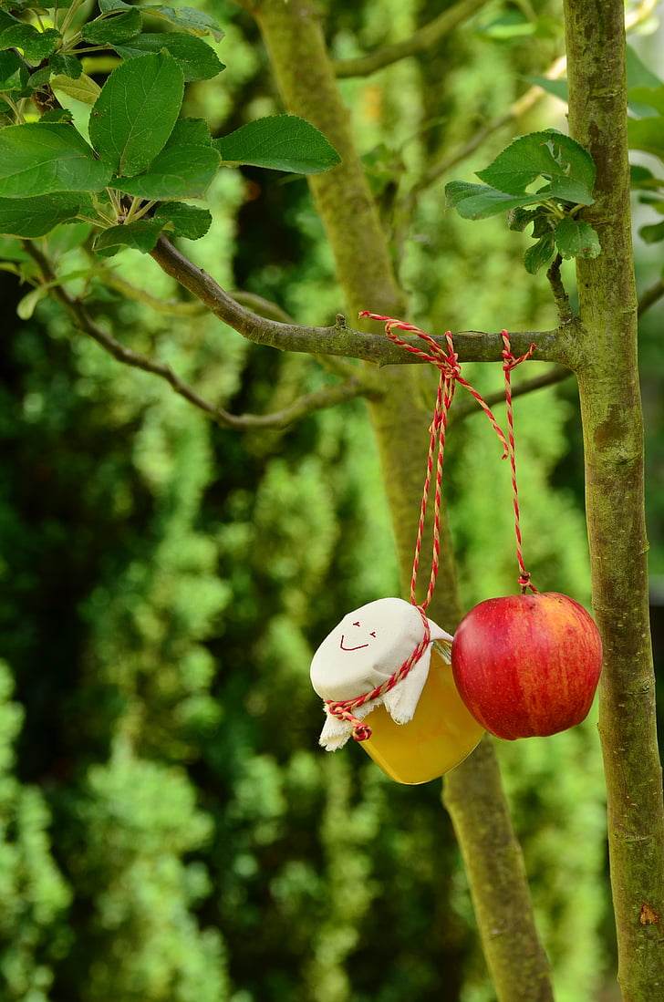albero di mele, Apple, composta di mele, vaso, giardino, frutta, kernobstgewaechs