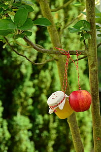 apple tree, apple, apple compote, jar, garden, fruit, kernobstgewaechs