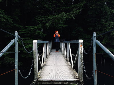 πρόσωπο, στέκεται, Brige, δάσος, δέντρο, γέφυρα, ένα άτομο