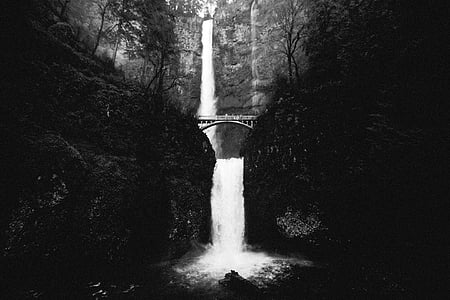 nature, water, waterfalls, trees, forest, rocks, grayscale