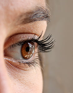 closeup, photo, woman, s, black, eyelash, eye