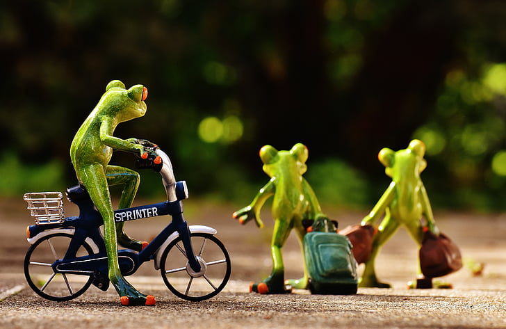 žaby, Rozlúčka, Bike, vozík, Cestovanie, milý, žaba