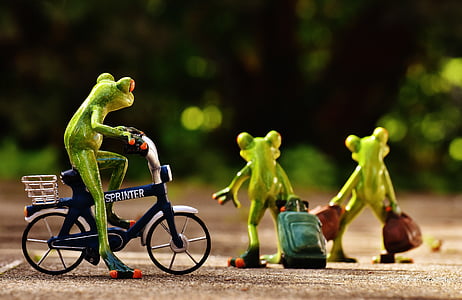 frogs, farewell, bike, trolley, travel, cute, frog