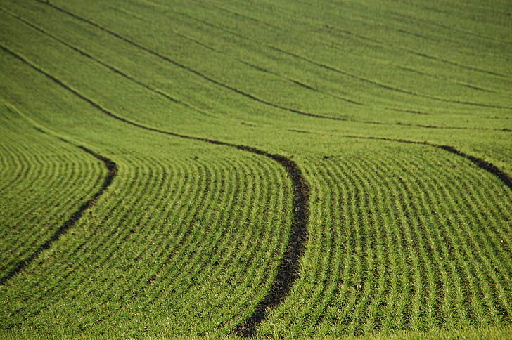 field, agriculture, lines, furrows