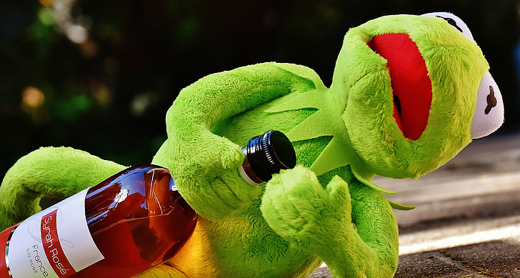 Kermit, rana, bebida, alcohol, borracho, resto, sentarse