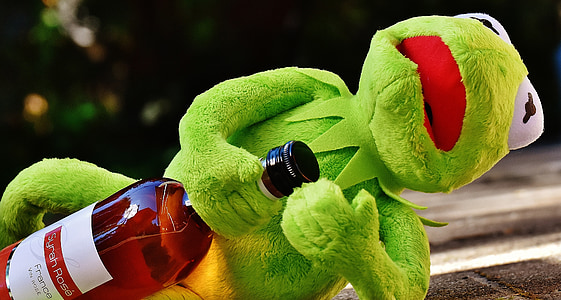 克米特, 青蛙, 饮料, 酒精, 醉酒, 休息, 坐