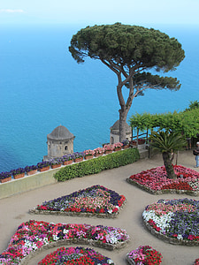 Capri, träd, trädgård, Italienska, kusten, kusten