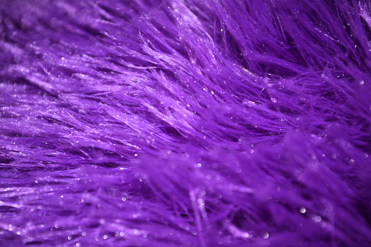 purple, fur, furry, texture, textured, design, soft