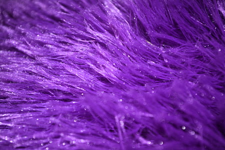 Purple, fourrure, furry, texture, texturé, conception, mous