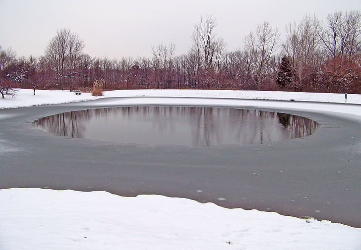 냉동, 연못, 겨울, 얼음, 눈, 나무