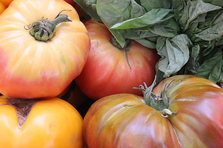 Heirloom, tomater, tomat, vegetabiliska, röd, friska, ekologisk