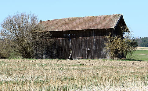 field, field barn, barn, hut, old, decay, break up