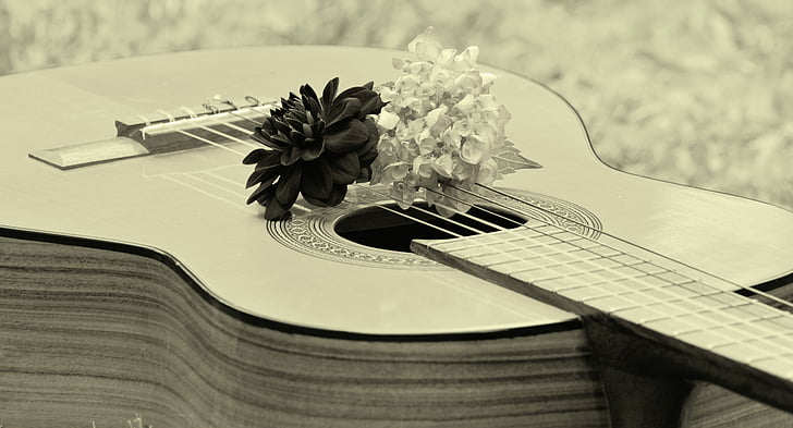 guitar, music, stringed instrument, instrument, acoustics, wooden guitar, black white