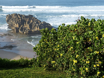 south africa, garden route, nature reserve, ocean, nature, wave, spray
