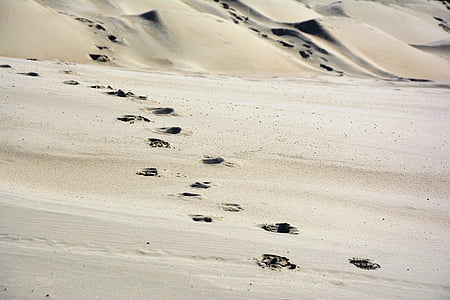 pasir, bukit pasir, jejak kaki di pasir, Dune, alam, jejak, mengisi