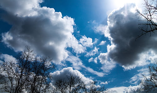 sky, blue, nature, cloud, spring, trees, day s