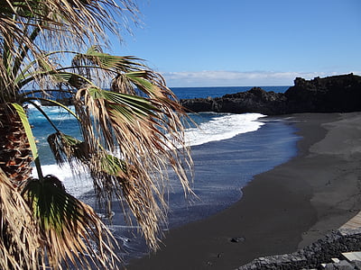 Spania, Canary øya, La palma, stranden, Palm, sjøen, natur
