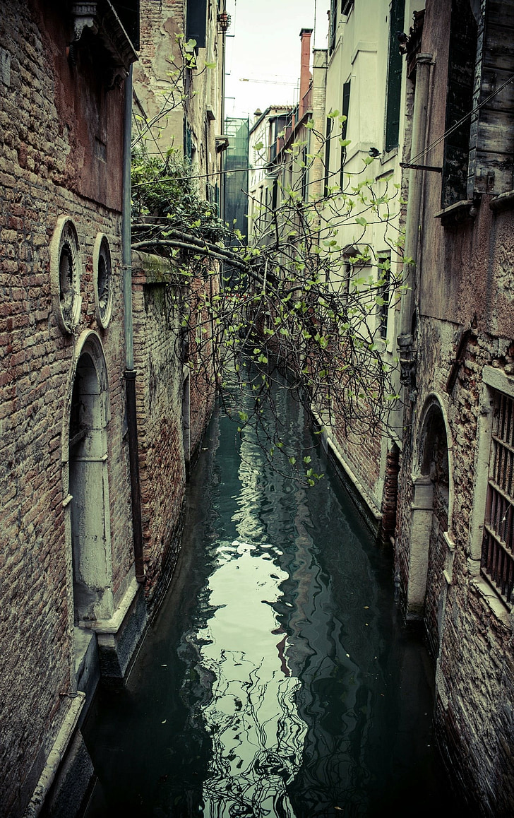 Venecia, de Disparos, iphone6s, pH, fotógrafo, Foto, canal