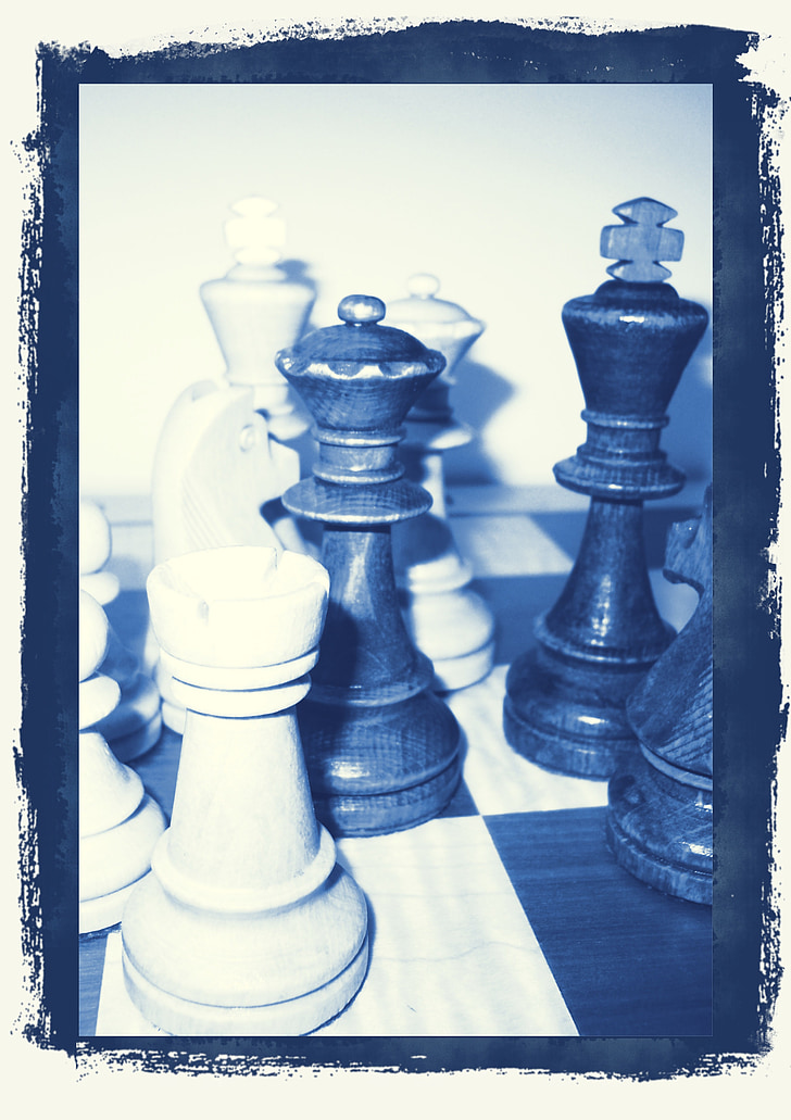 escacs, peces d'escacs, rei, senyora, tauler d'escacs, joc d'estratègia, estratègia
