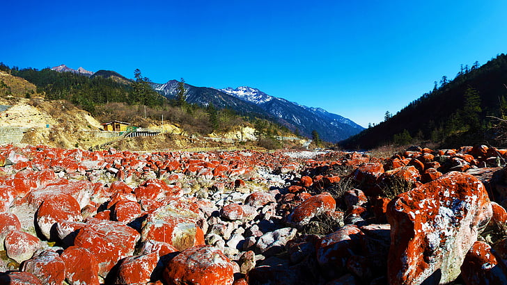 vörös sziklás strand, Redstone, park, Jolly narancssárga algák, hailuogou, hegyi, kék, stadion