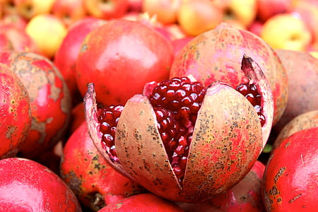 pomegranate, fruit, pomegranates, seeds