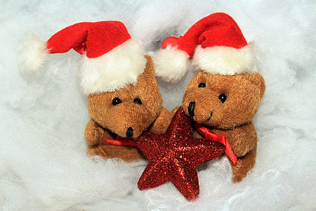 Christmas, ours de Noël, neige, veille de Noël, temps de Noël, Ambassade, carte de Noël