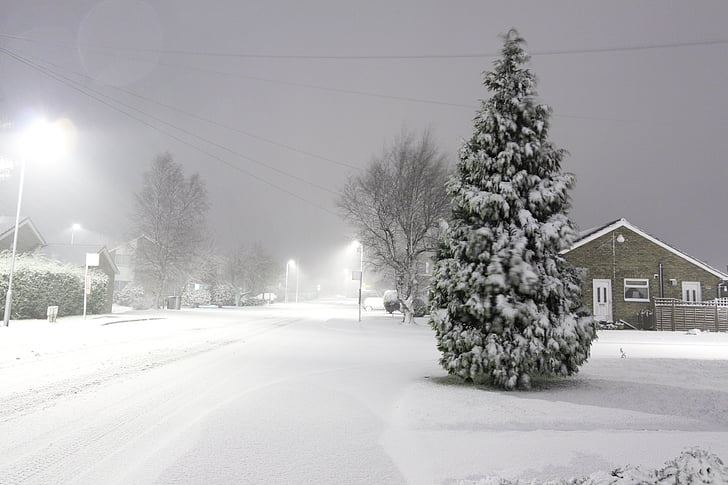 tuyết, lạnh, mùa đông, cơn bão, cây, đường, đèn chiếu sáng
