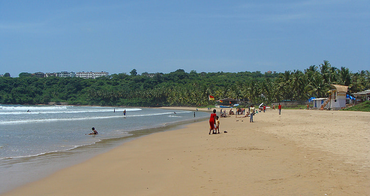 Goa, Praia de Bogmalo, Índia, praia, palmeiras, bela praia, Praia de areia