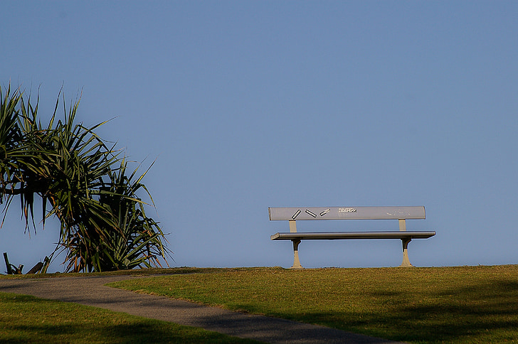 Banco de, asiento, Horizon, árbol de Palma, cielo, azul, hierba