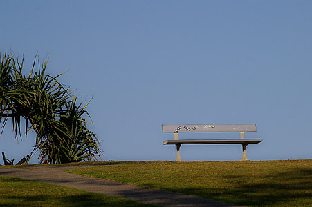bench, seat, horizon, palm tree, sky, blue, grass