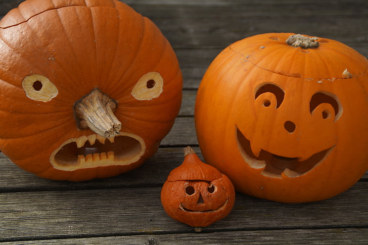 pumpor, tre, Halloween, Familj, fräcka, hösten, ansikte