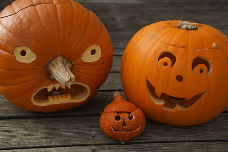 zucche, tre, Halloween, famiglia, sfacciato, autunno, viso